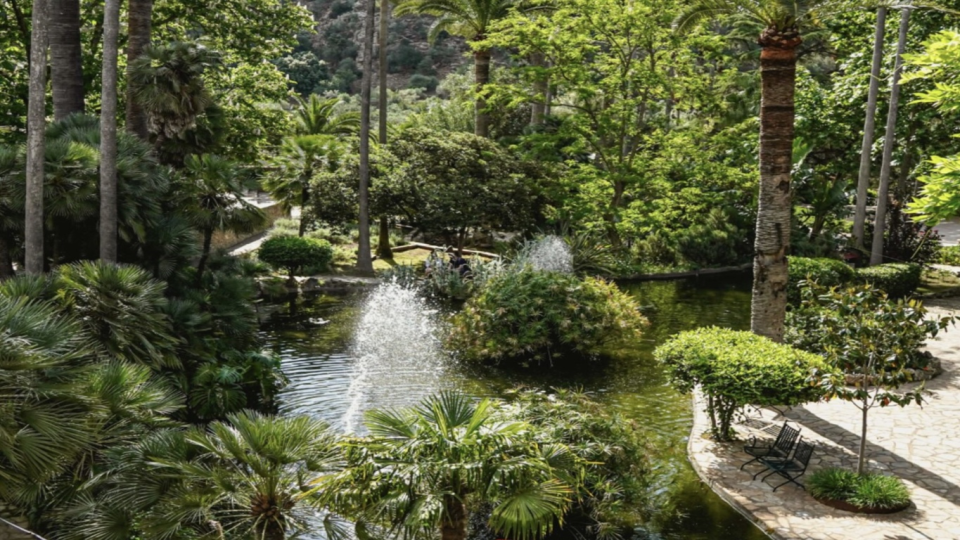 Jardines de Alfabia foto del lago