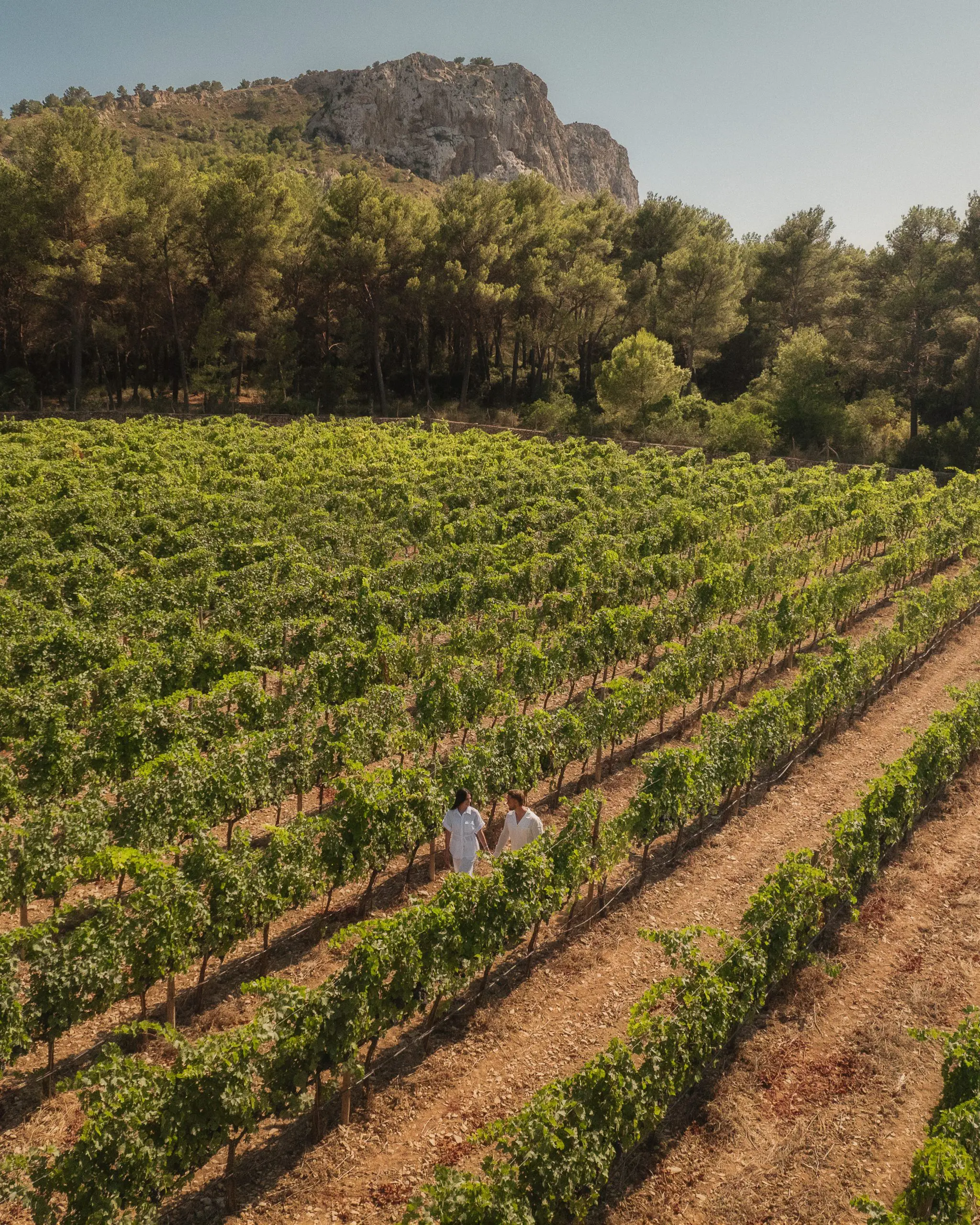   Art in the Vines - Essentially Mallorca 2