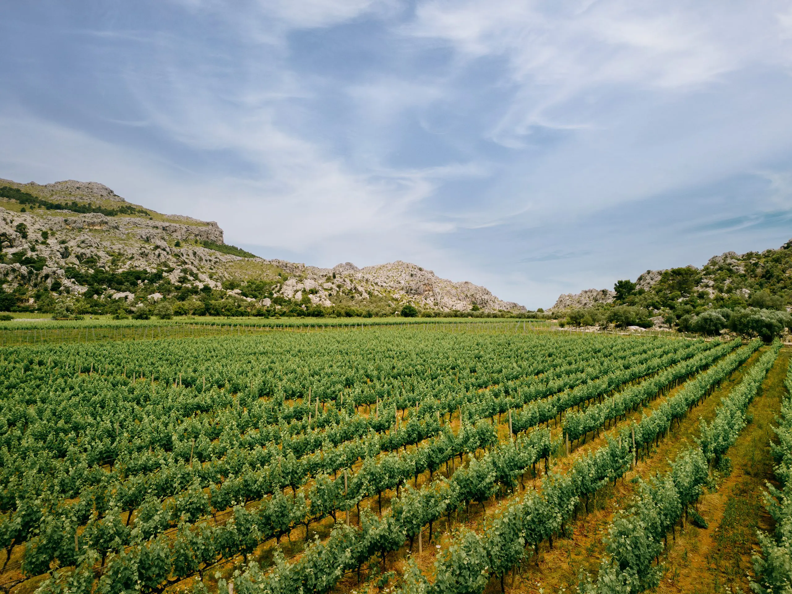  Siente - Essentially Mallorca 3