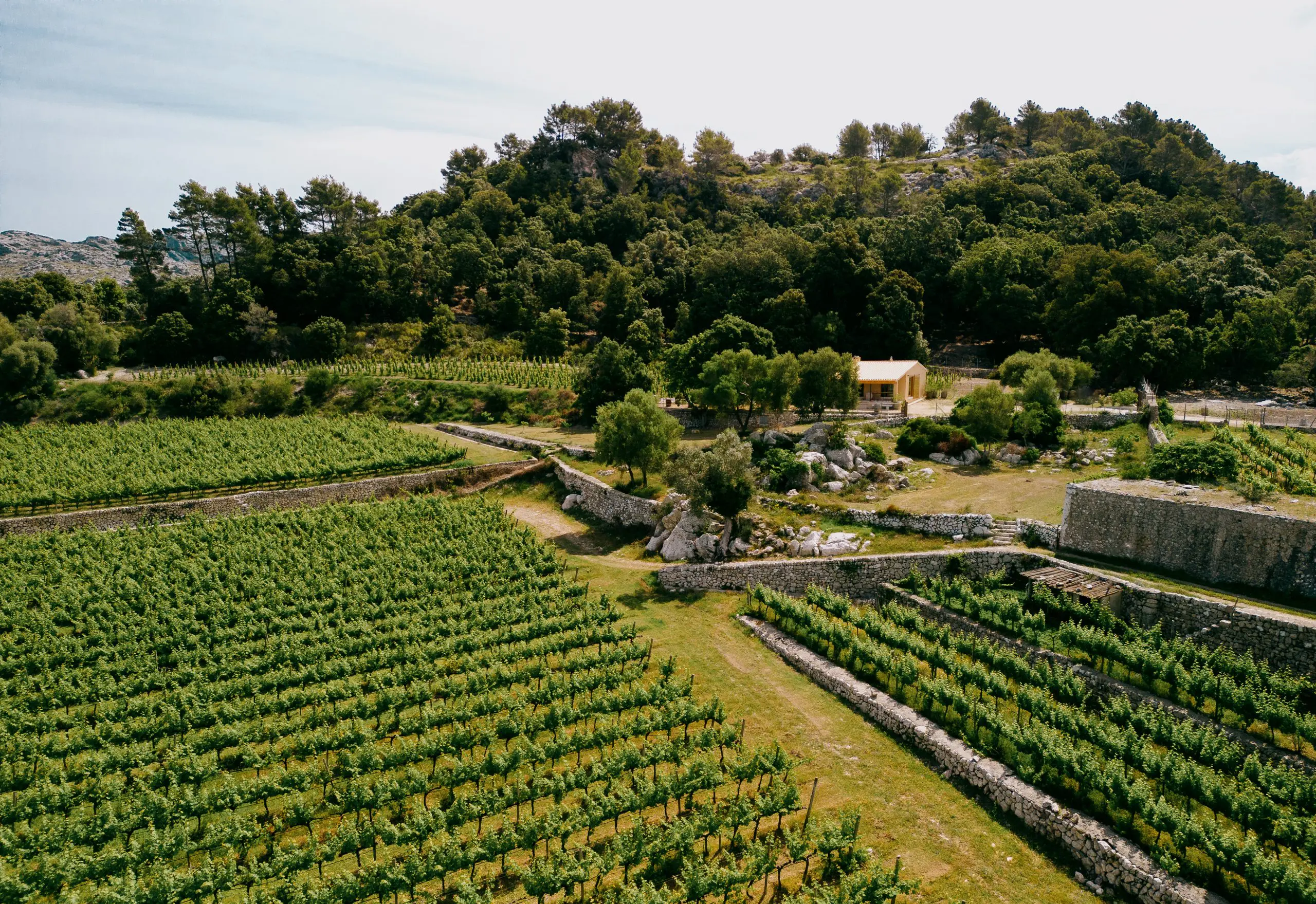   Siente - Essentially Mallorca 4