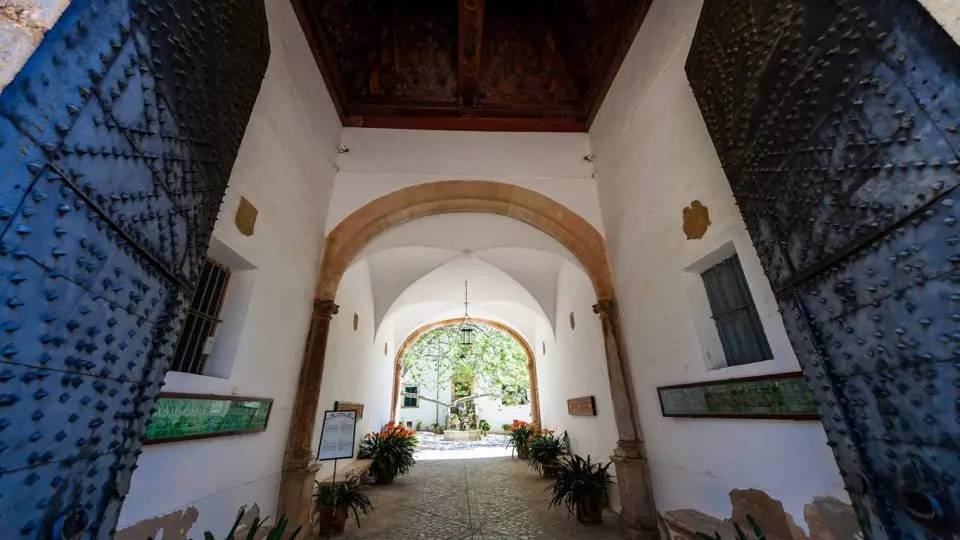 Experiences - Essentially Mallorca 11