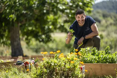 Gastronomía mediterránea auténtica en Mallorca como experiencia de lujo