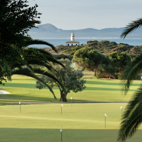 Campo de golf Alcanada.