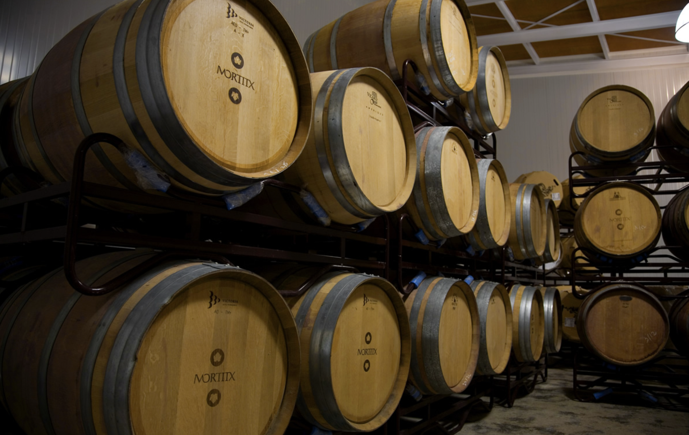   Expérience - Essentially Mallorca 1