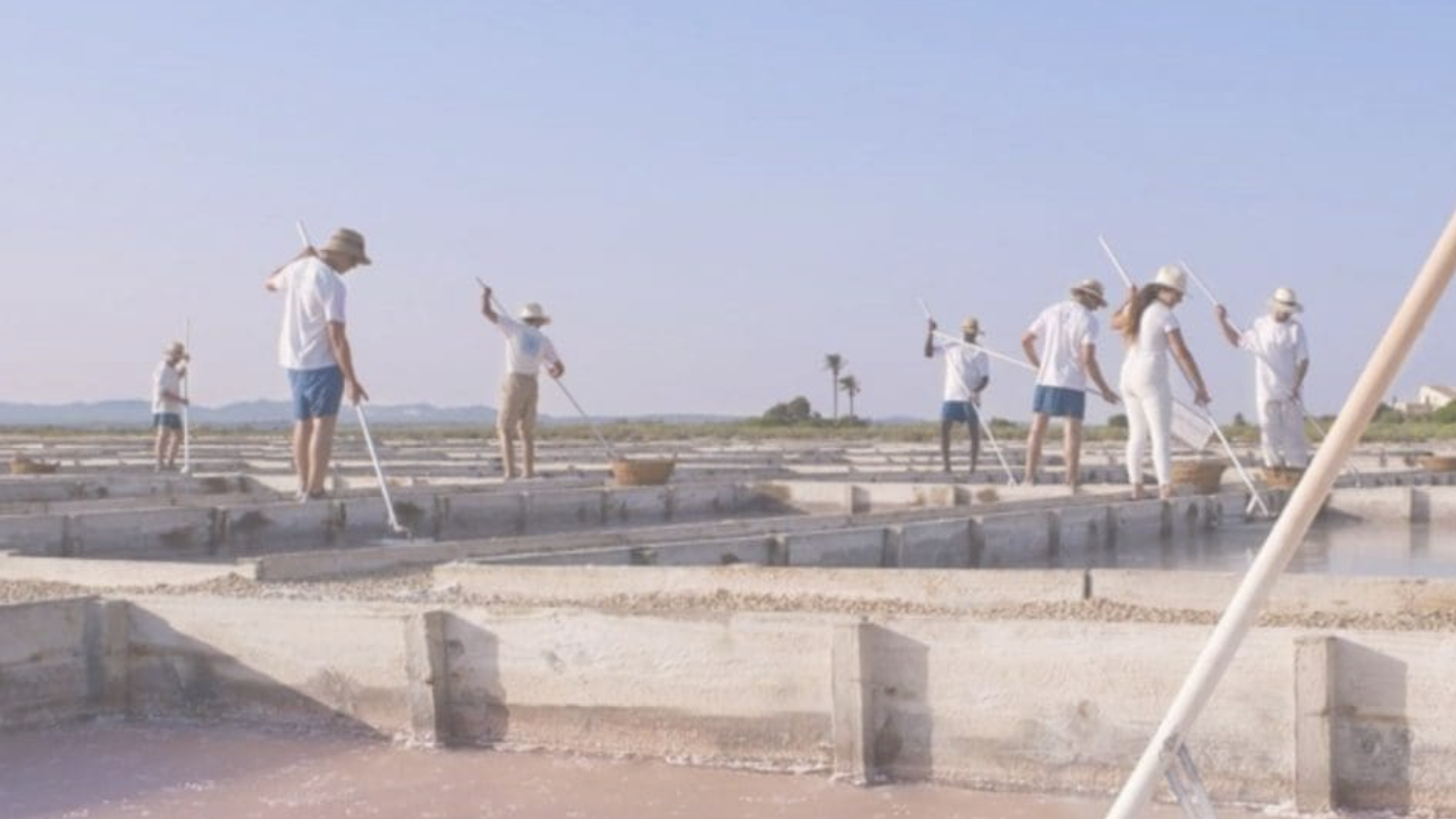   Experiences - Essentially Mallorca 2