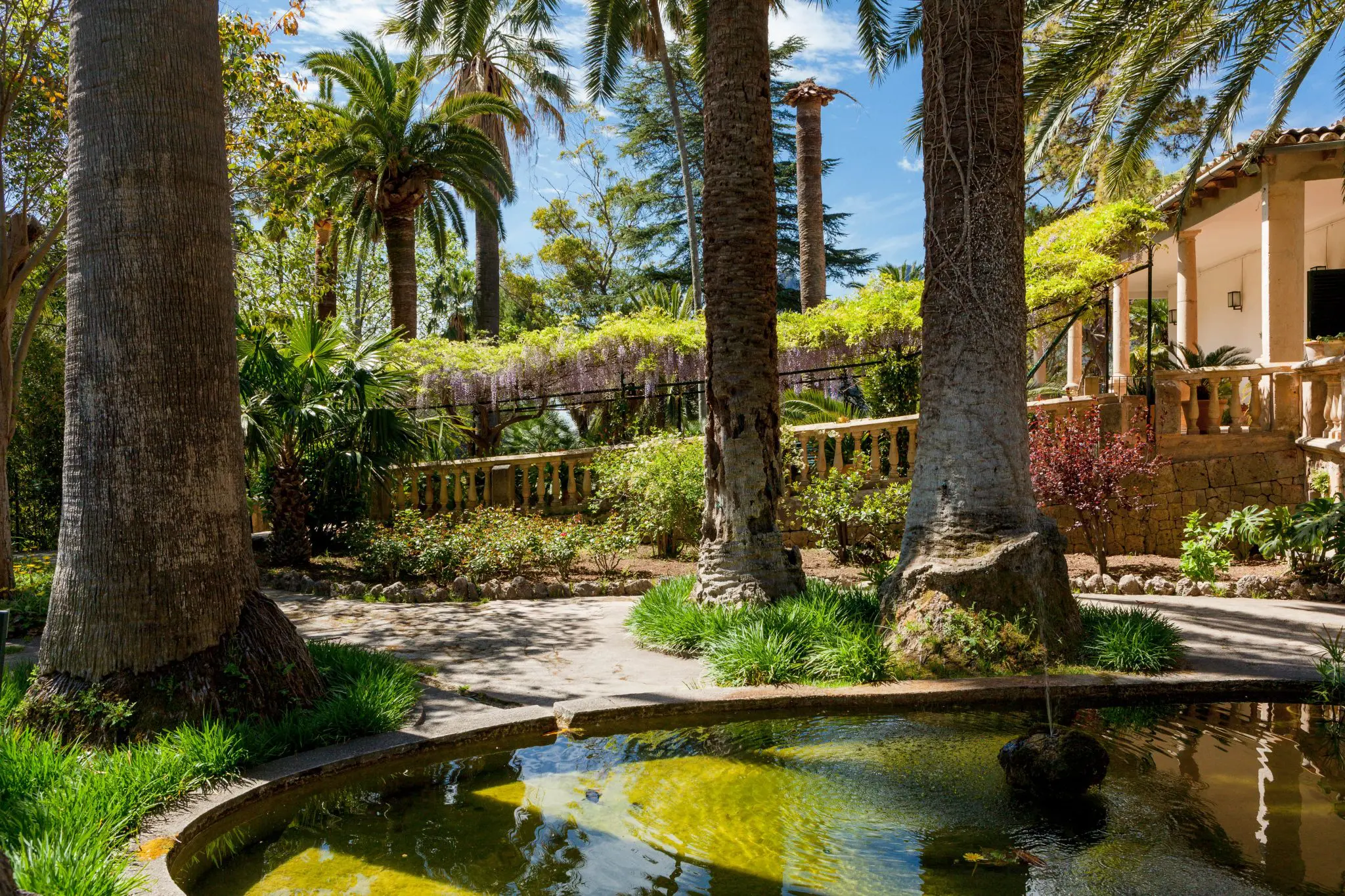   Una velada privada en los Jardines de Alfabia - Essentially Mallorca 3