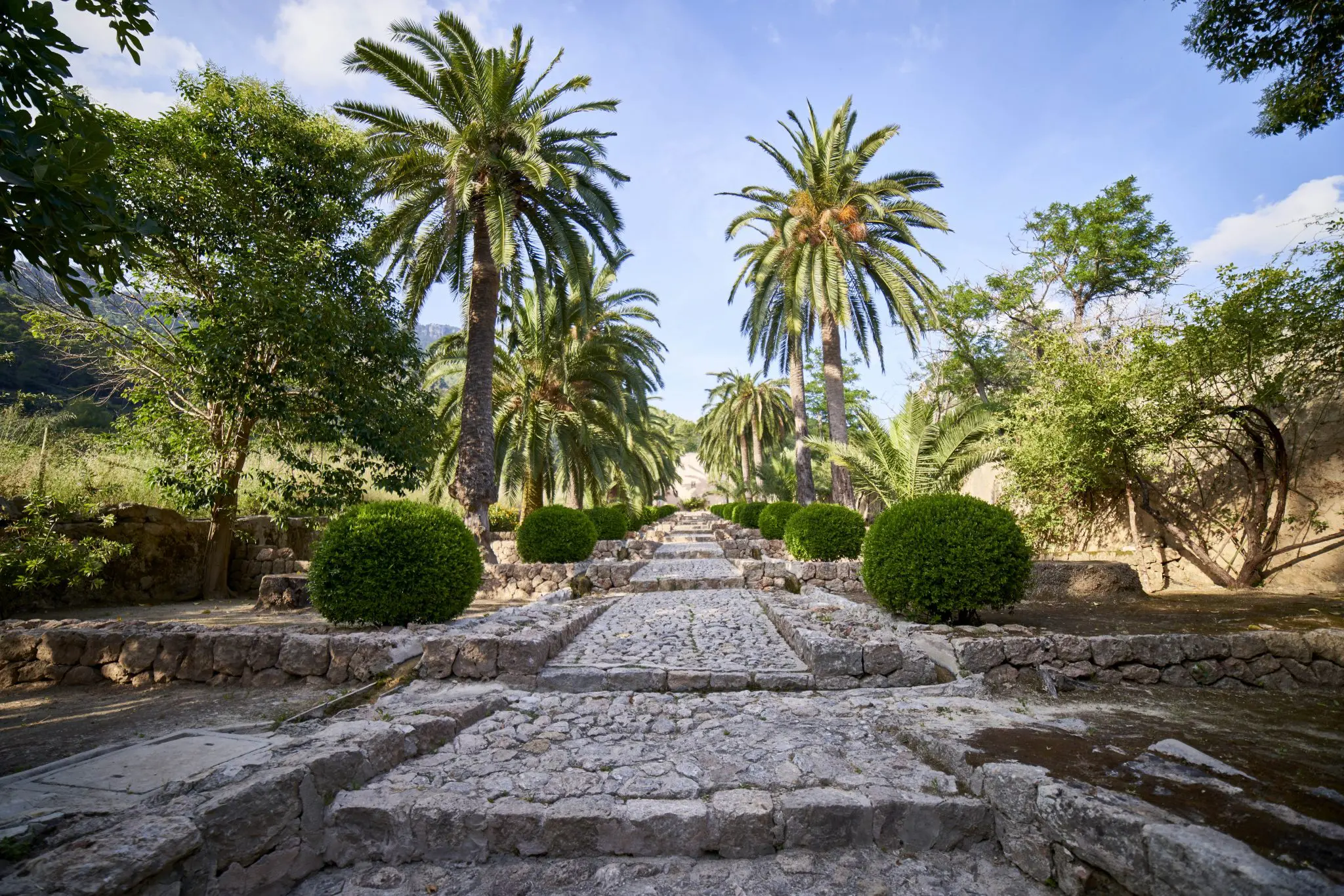   Une soirée privée dans les Jardins d’Alfabia - Essentially Mallorca 4
