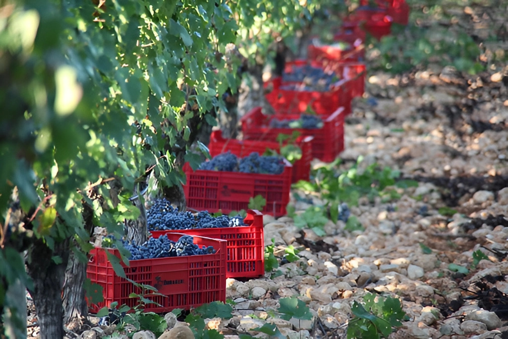   Finca Biniagual - Essentially Mallorca 3