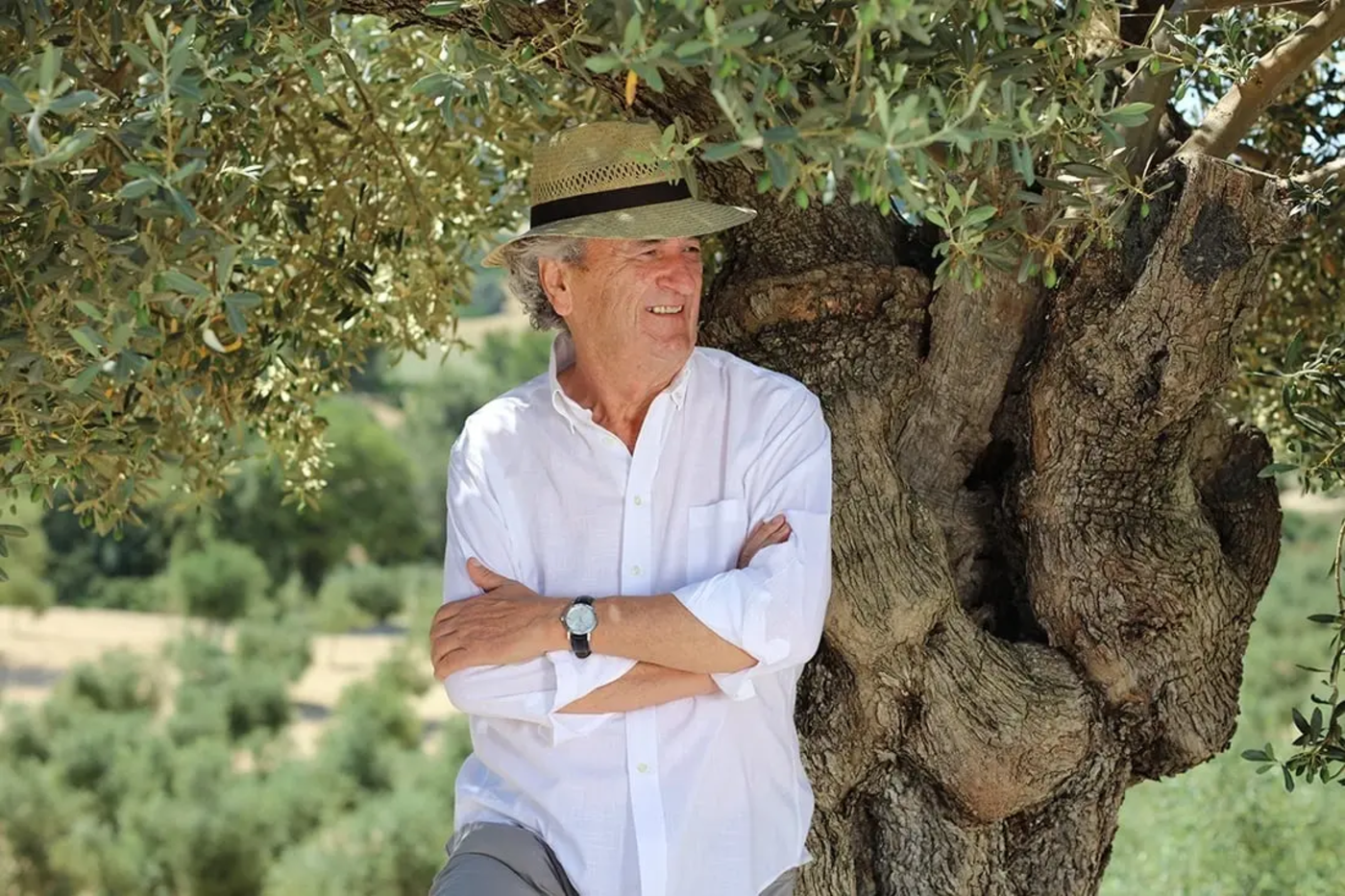   Experiences - Essentially Mallorca 1